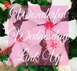 Wonderful Wednesday Link Up